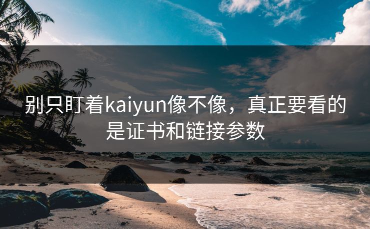 别只盯着kaiyun像不像，真正要看的是证书和链接参数